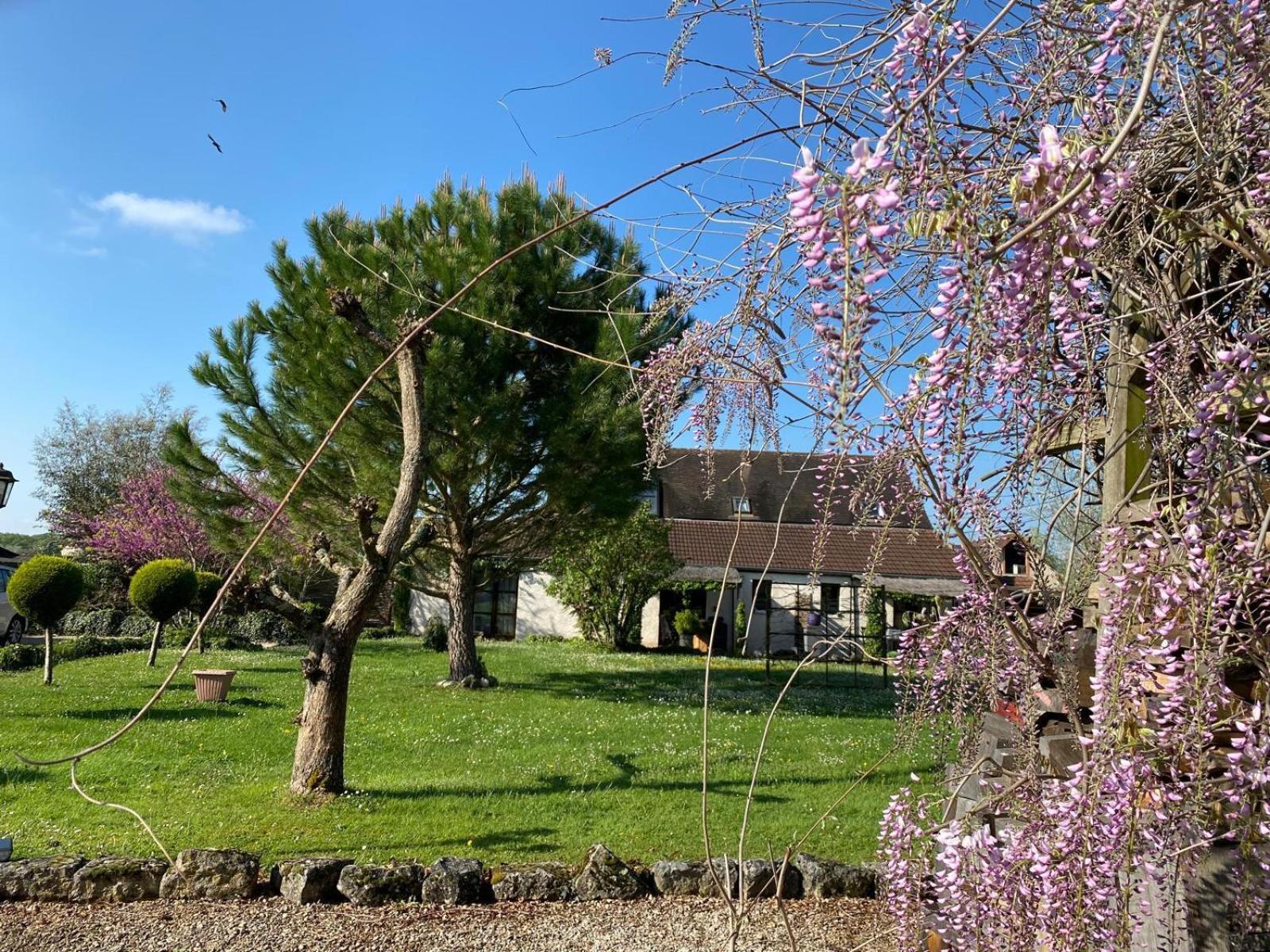 Gite Et Studios Les Barongeres Farges-les-Chalon Eksteriør billede