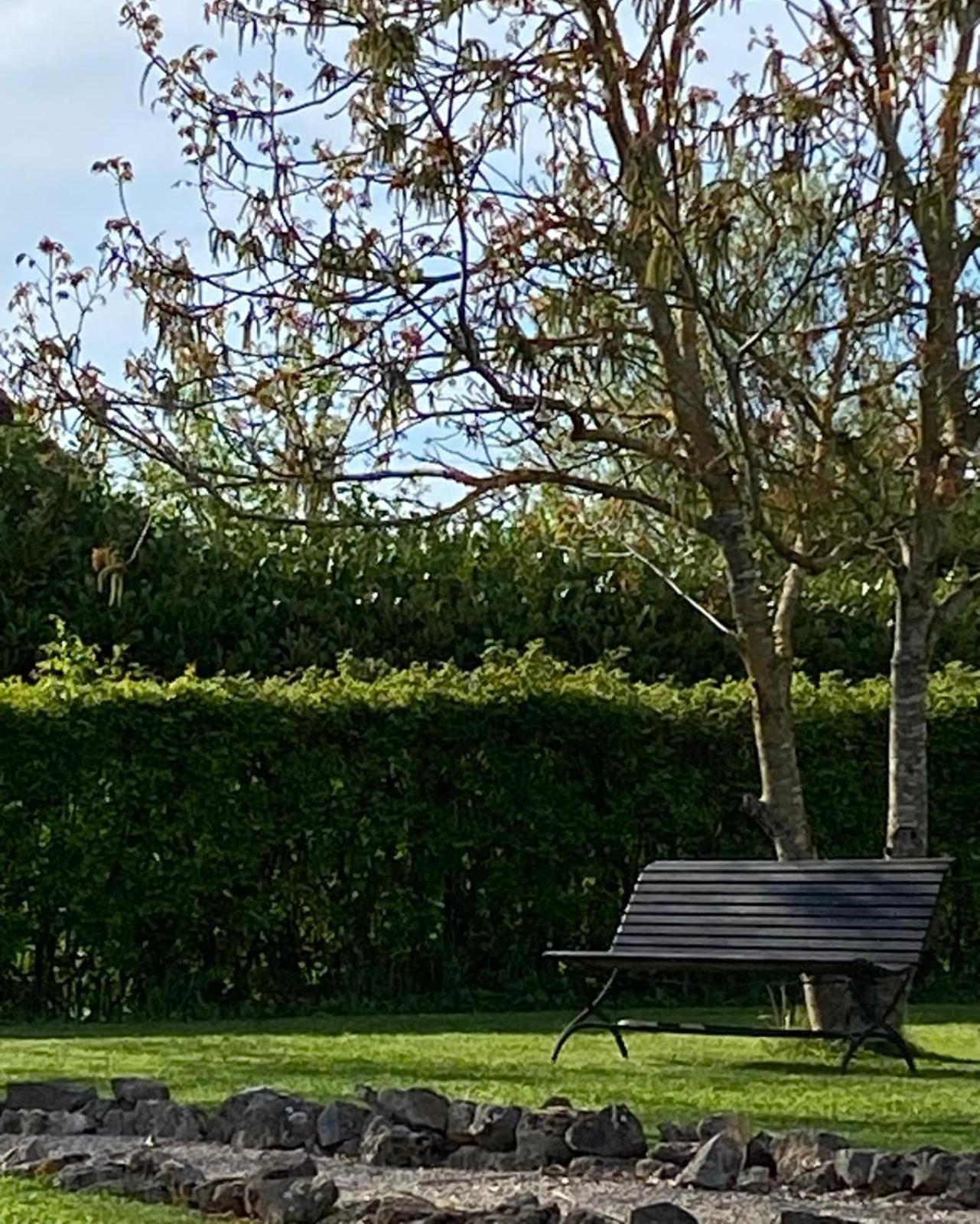 Gite Et Studios Les Barongeres Farges-les-Chalon Eksteriør billede
