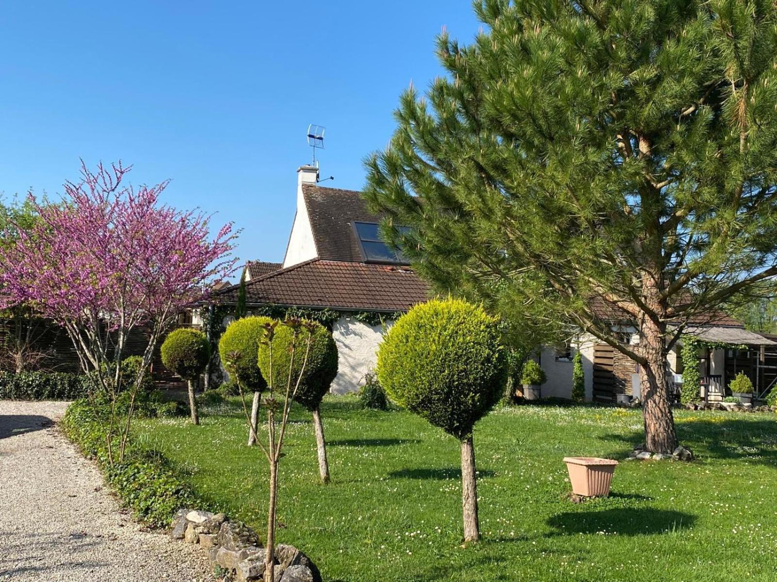 Gite Et Studios Les Barongeres Farges-les-Chalon Eksteriør billede