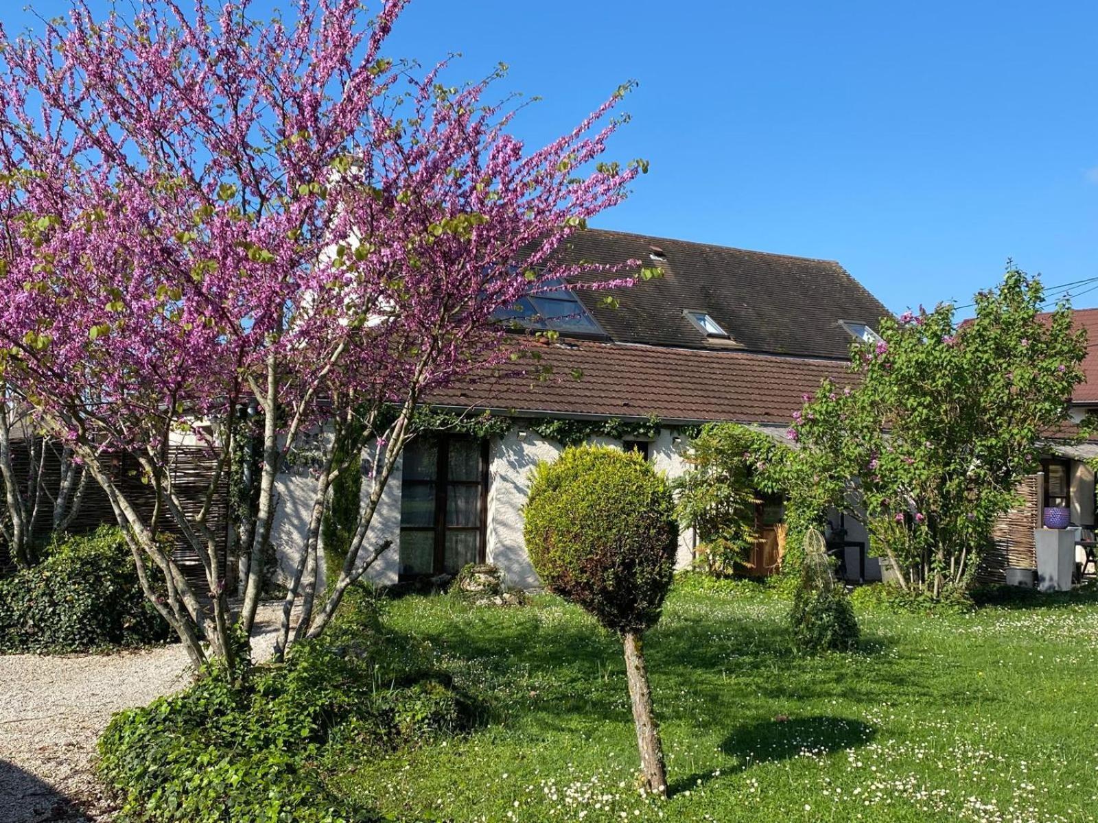 Gite Et Studios Les Barongeres Farges-les-Chalon Eksteriør billede