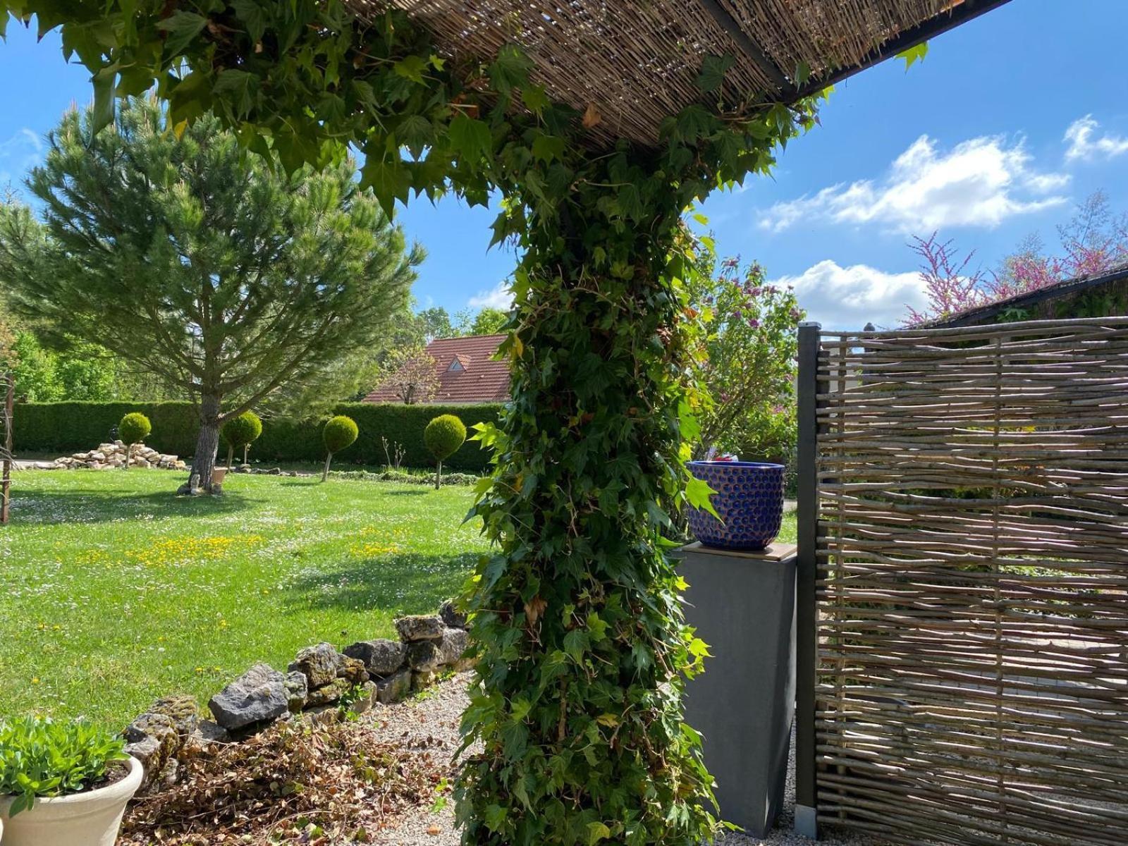 Gite Et Studios Les Barongeres Farges-les-Chalon Eksteriør billede